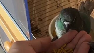 Selama itu Jerman, gaya melukisnya tiba-tiba berubah