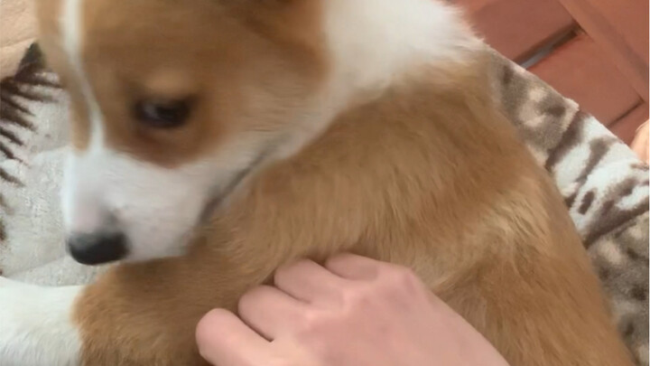 You eat my food, stay at my place—what’s wrong with warming my hands for me?