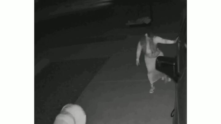 ตอนเมากลับบ้าน