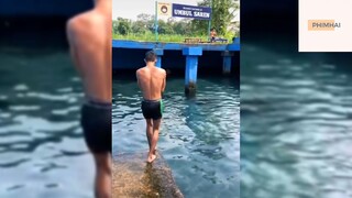 Hài khó cưỡng phần 9 #haihuoc