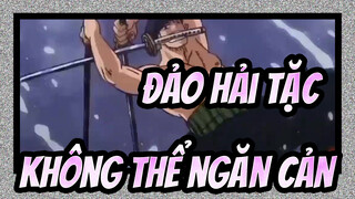 Đảo hải tặc|【MV】Zoro- Không thể ngăn cản