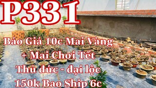 Mai vàng chơi tết p331 | 0902166514 Phương | thủ đức - đại lộc 150k - báo giá 10 mã số