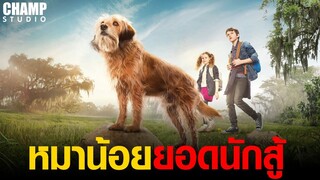 เมื่อน้องหมาช่วย 2พี่น้องจากวายร้าย [สปอยหนัง] Benji หมาน้อยยอดนักสู้ (2018)