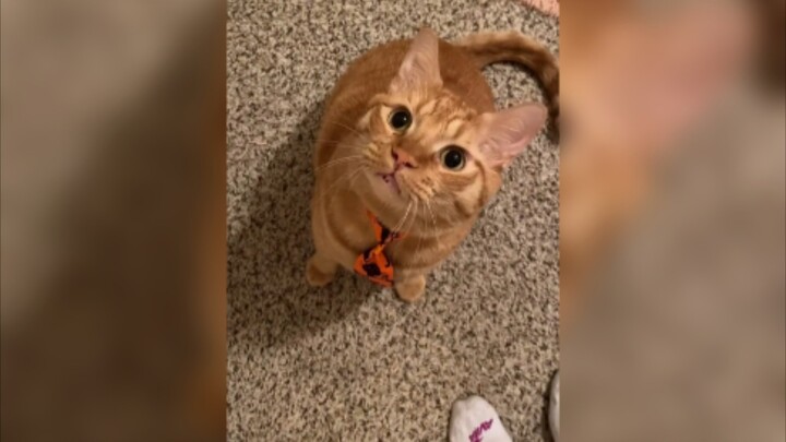 Mom, I've put on my tie, can I go to work with you?