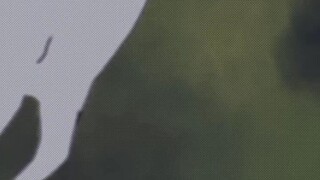 halo"