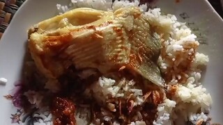 MAKAN DULU... LAUKNYA IKAN PIPIH MANTAP - DINATA PRODUCTION