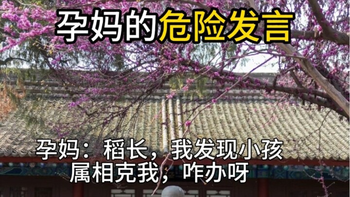 【Meme mèo】Phát ngôn nguy hiểm của mẹ bầu