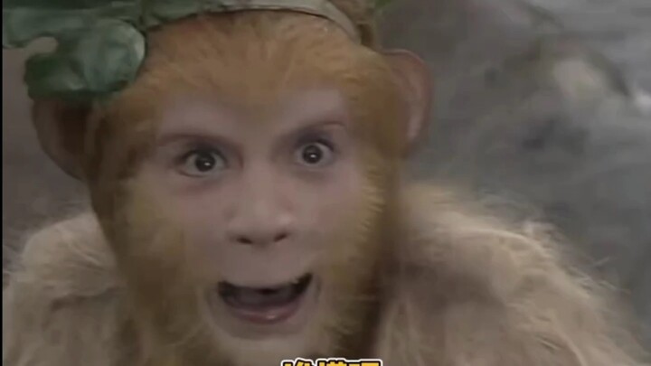 Cute little Monkey Ji—how could anyone not have “empty” eyes when they see her?