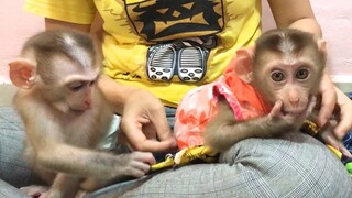 Dress up and Banana