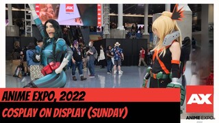 Anime Expo (AX) 2022: Sunday Cosplay Lobby