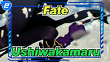 [Fate] Apakah Kau Pernah Mendengar Ushiwakamaru?_2
