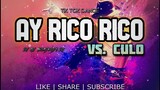 DJ MJ - AY RICO RICO vs CULO ( Letra Alo Michael ) Ft. Fatman scoop | TIK TOK DANCE [ HYPE MIX ]