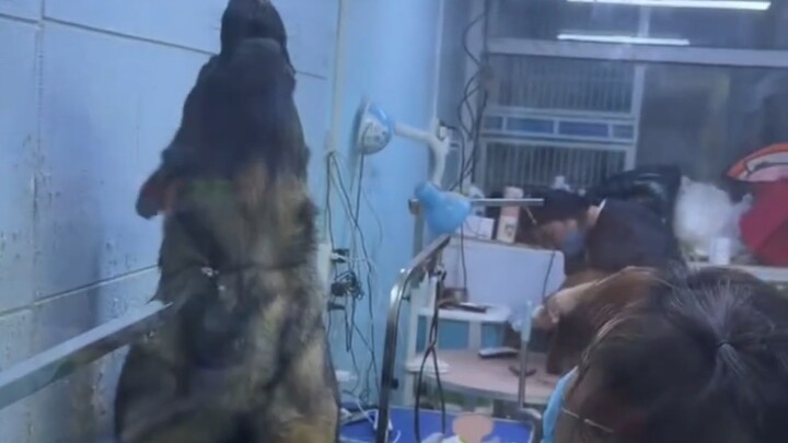 No wonder showering is so expensive—it’s all for emotional distress fees～