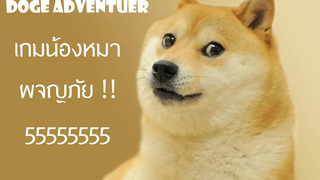 เกมน้องหมาผจญภัย - Doge Adventure