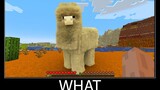 Minecraft รออะไร meme part 102 minecraft ที่เหมือนจริง Llama wool