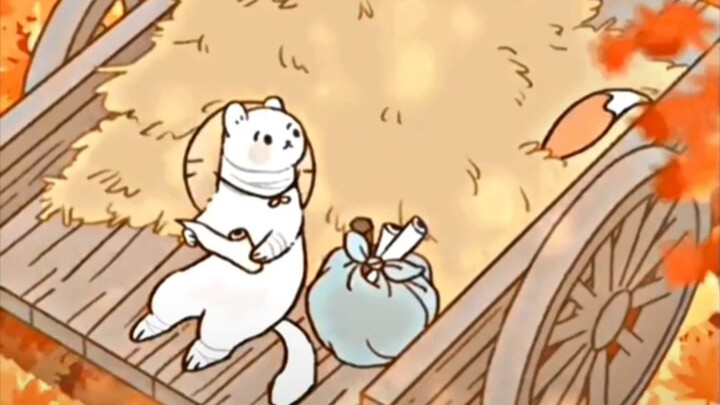 Cutie has no brain<(｀^′)>