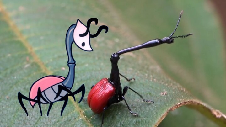 What kind of grass-eating insect is Green the Gatekeeper and the Queen’s Inn? Hollow Knight Insect G