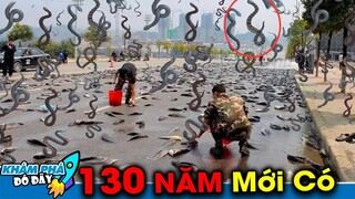 10 Hiện Tượng Thiên Nhiên Kỳ Quái Nguy Hiểm Nhất Xảy Ra Trong Lịch Sử Loài Người | Khám Phá Đó Đây