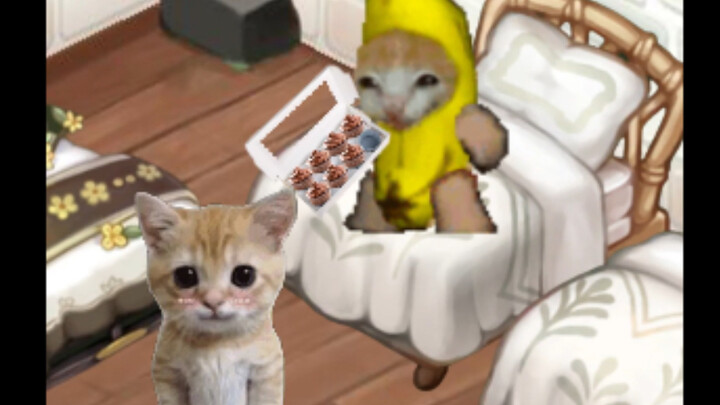 Bánh sô-cô-la của Mèo Chuối