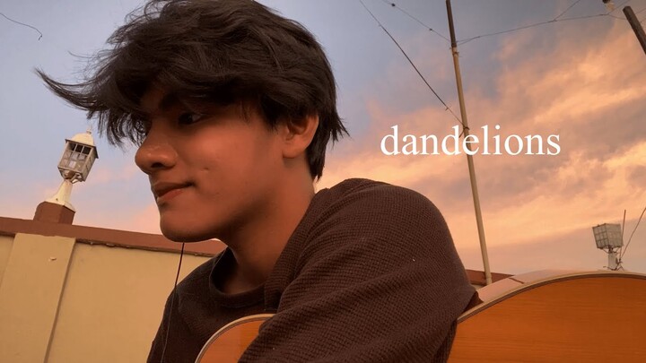 dandelions cover