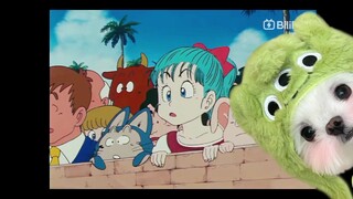 random scene(db)