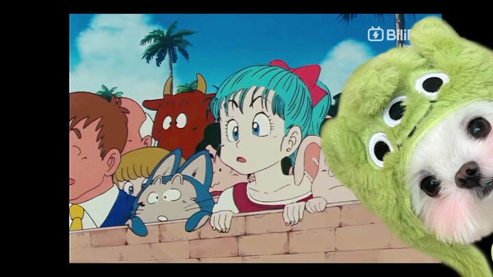random scene(db)