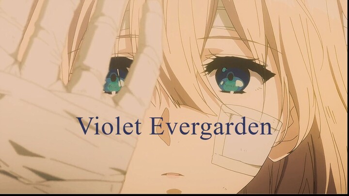 Short AMV [Violet Evergarden] 【Sweet Willaims ft. Ichiko Aoba - からかひ (Karakai)】