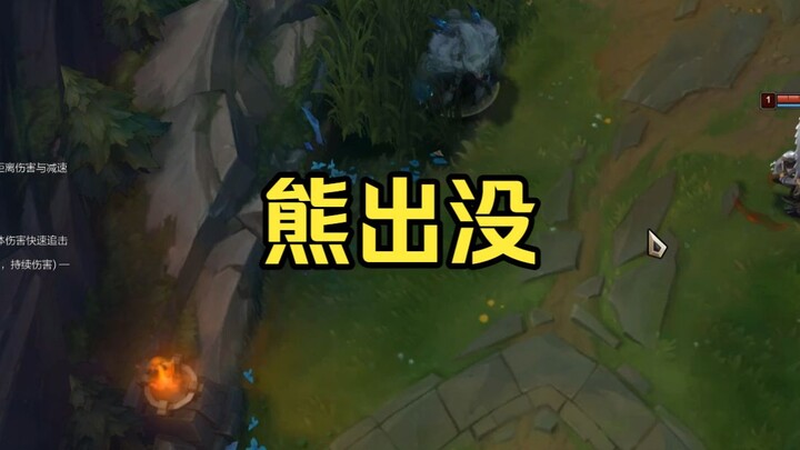 Gấu xuất hiện