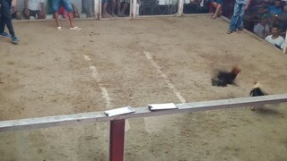 Valora cockpit Arena
