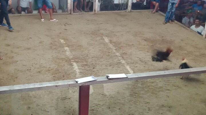 Valora cockpit Arena