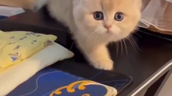 Maafkan aku karena tertawa tak pantas