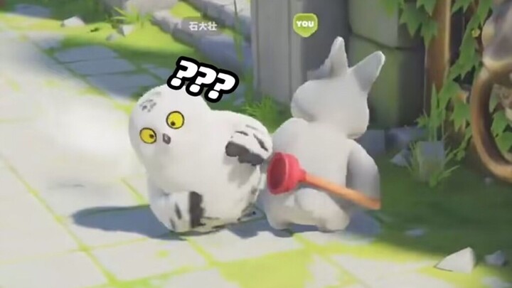 Hilarious from start to finish! The little animals are fighting again!!! [Beast Party]