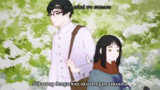 E6 END S2 hikari-no-ou [SUB INDO]