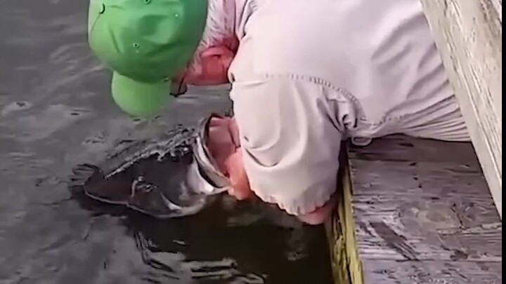 Bẫy pháp luật khi câu cá