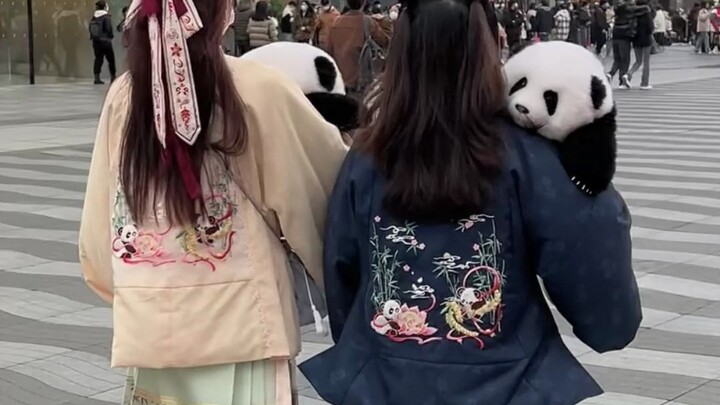 Dân trẻ thời nay ai cũng nuôi gấu trúc hết rồi sao!