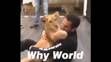 [Động vật] Tổng hợp khoảnh khắc cảm động giữa động vật và con người