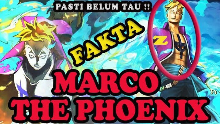 BANYAK YANG BELUM TAU !!! FAKTA TENTANG MARCO THE PHOENIX