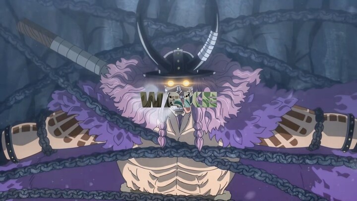 One piece 1166