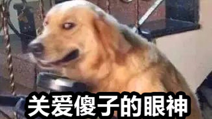 [Lupin’s Game] Hilarious Teammates Go Wild with Shenanigans! Adorable Confession from a Male Fan!