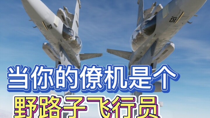 【DCS】When Your Wingman Is a Maverick Pilot (Part 1)
