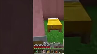 I make house in Minecraft survival 100 days in Minecraft hardcore