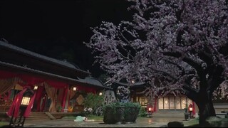Who filmed the whole show from the first 10 minutes to the end? It’s so abstract, I like it so much,