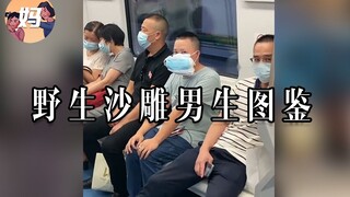 【野生人类图鉴】沙雕男生欢乐多