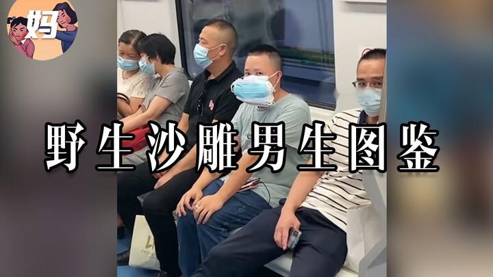 【野生人类图鉴】沙雕男生欢乐多