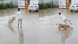 The young man had just stepped out when his own dog tackled him with a sliding tackle, sending him t