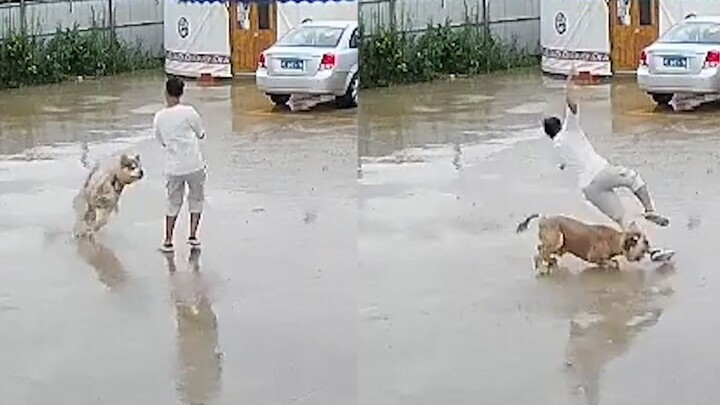 ما إن خرج الشاب من المنزل حتى صدمه كلبه بانزلاق، فسقط أرضًا ممسكًا بخصره في حيرة تامة، أما رد فعل ال