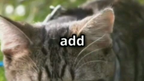 facts about cats..#fyp