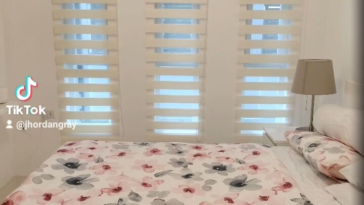 korean window blinds