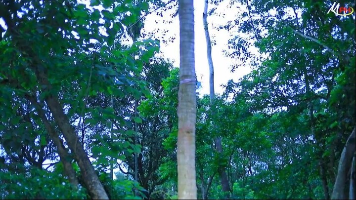 ফাহিমের ভাইওর - লেডামিয়া ও ফাহিমের নতুন নাটক - Leda Miah Natok - Fahim Natok - M