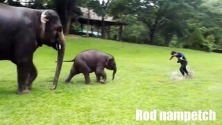 รวมคลิปสไลด์เด้อ...⛷น้องน้ำเพชร🤣😂